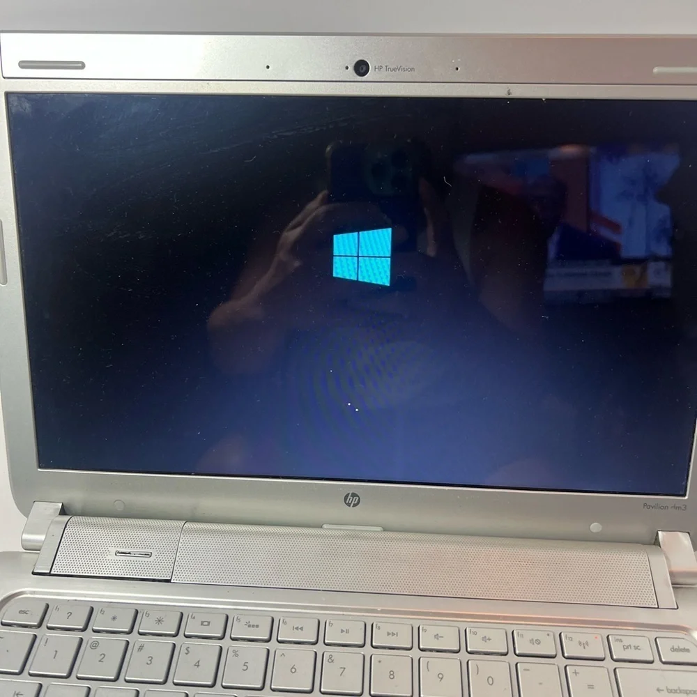 HP Pavilion dm3-3000 13.3